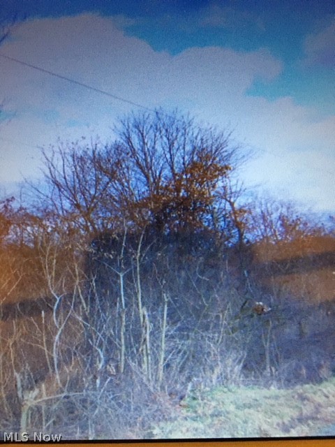 Big parcel of land in the country. Will need cleared. No driveway.
51 foot wide on Morris rd and then opens up further back. Map of parcel attached as a photo.
