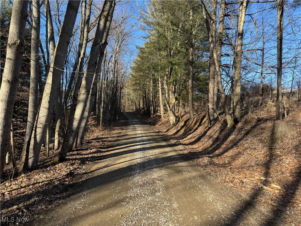 2461 Peters Creek Road, Cambridge, Ohio image 7