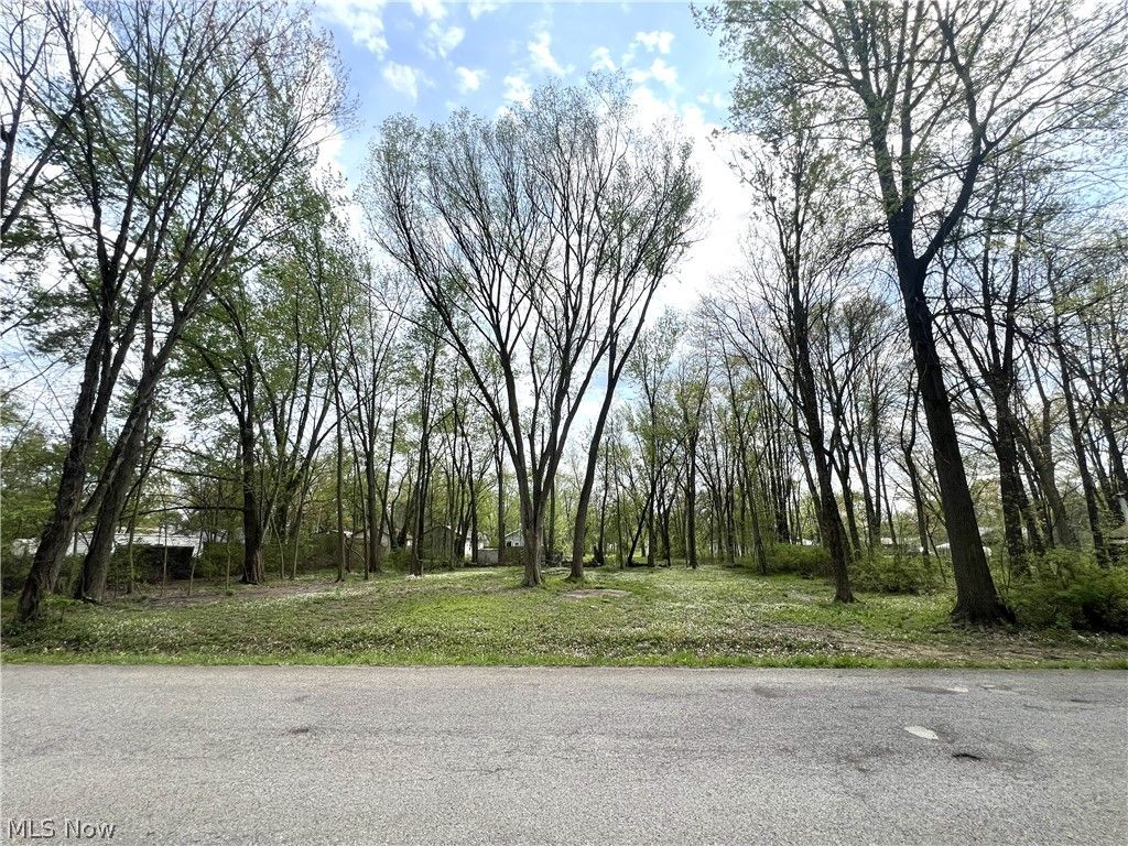 Photo of Afton Avenue, Lake Milton, OH 44429 (MLS # 5205384)