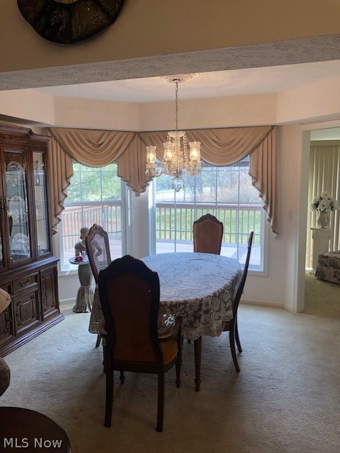 Woodbury Condo - Residential