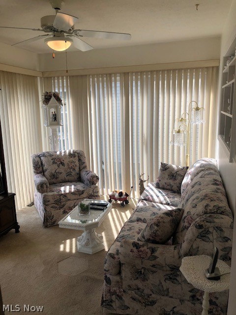 Woodbury Condo - Residential