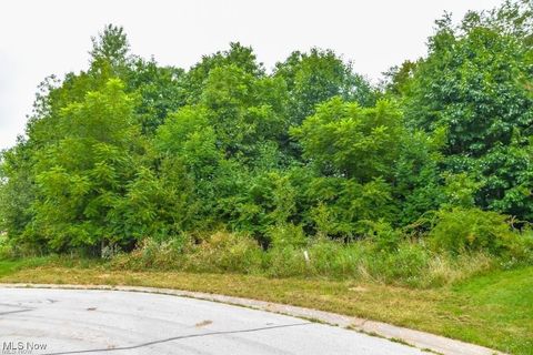 Vacant Land For Sale - Rowland Avenue<br/> Stark County, Canton, OH 44714