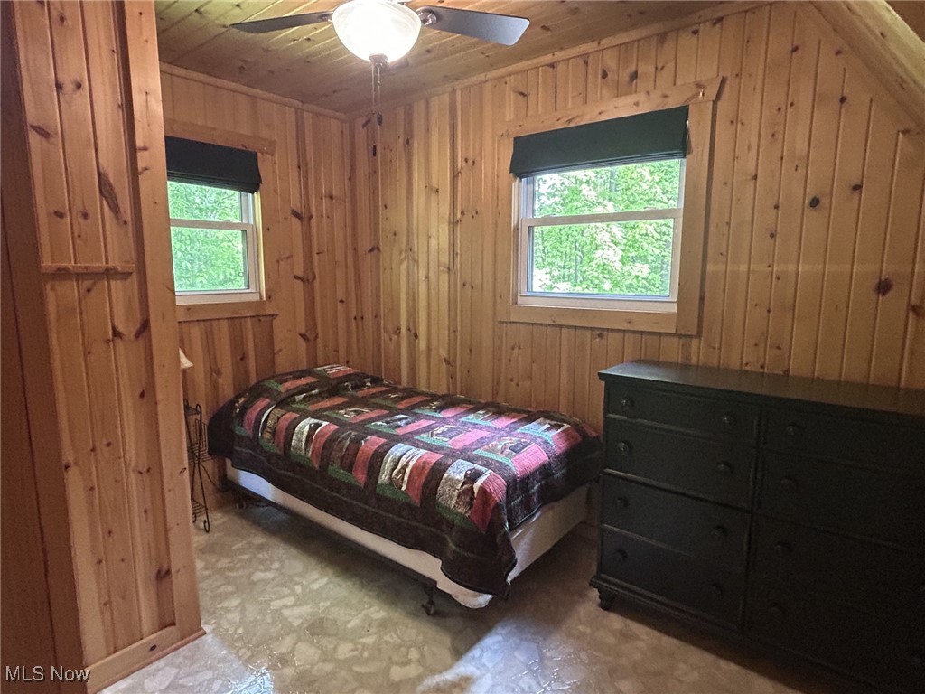 6920 South Boulevard, Andover, Ohio image 18