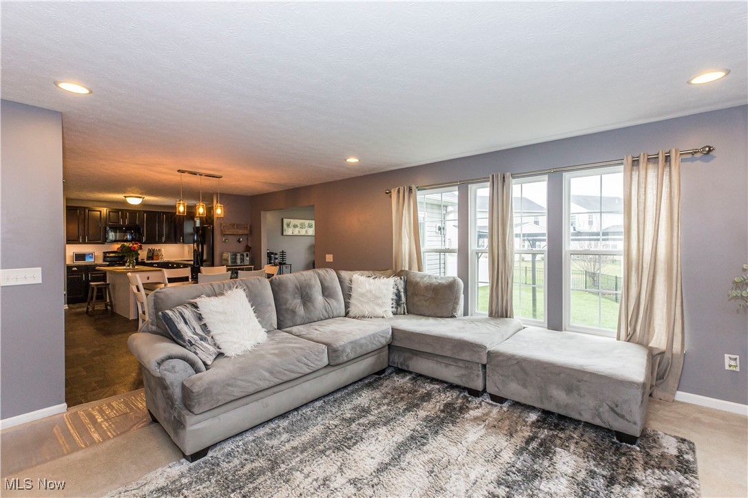 37539 Tail Feather Drive, North Ridgeville, Ohio image 12