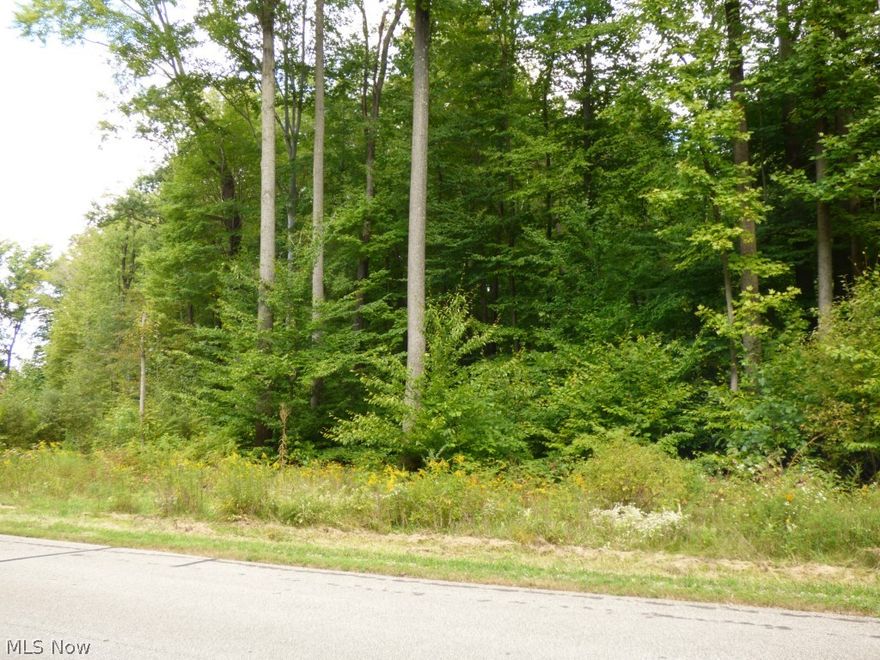 3.61 Acre wooded lot in Frostwood Farms Subdivision.  Build when you want with your own builder.  2,300 s.f. min.  2 other lots available at this price.  Don't wait!