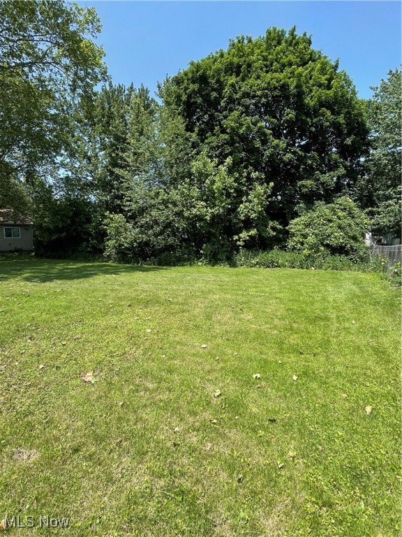 1781 Delia Avenue, Akron, Ohio image 21