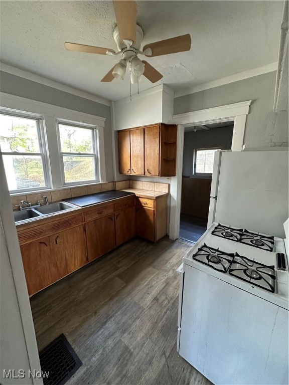 Kenmore Allotment - Residential Lease