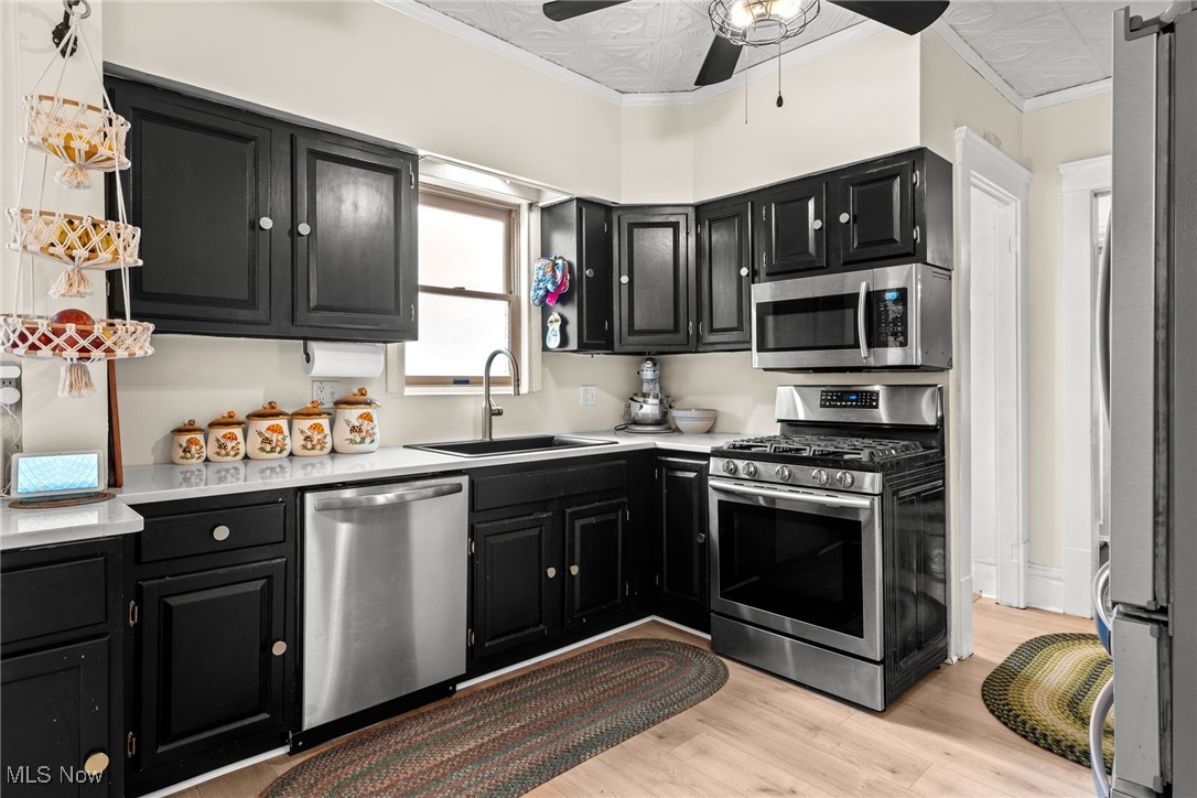 Storer Heights - Residential