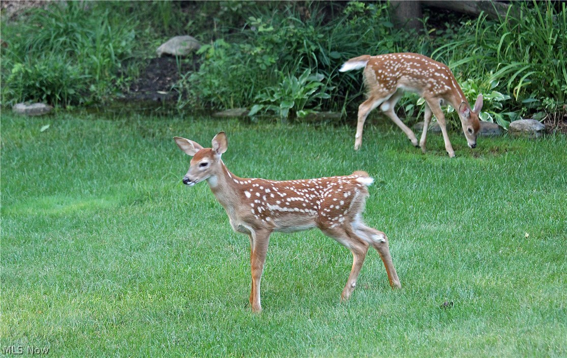 Heather Hills - Residential