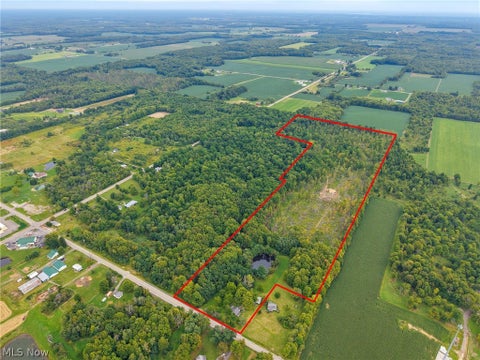 Vacant Land For Sale - 5484 State Route 46<br/> Rome, OH 44085