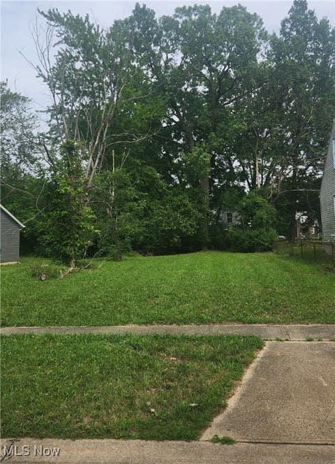 Photo for Canton Avenue