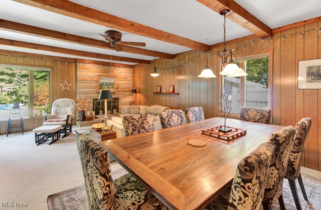 Minerva Village - Residential