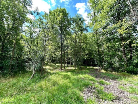 Photo for 13421 V/L Royalton Road
