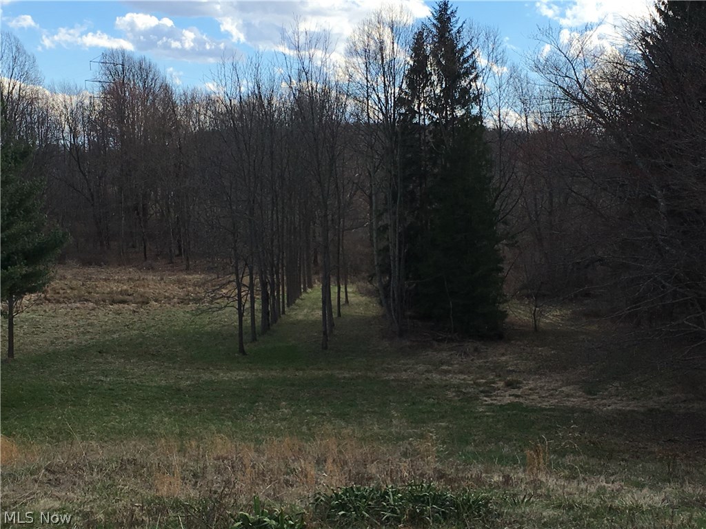 Suffield - Residential