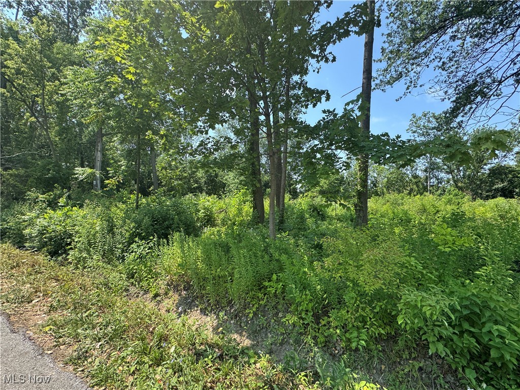 Looking for the perfect place to build, this is it! Located in Clearview school district on a quiet street this over half acre property is waiting for you! This lot is currently zoned multi-family. Buyer is responsible for all due diligence.