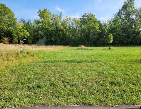 Vacant Land For Sale - 2035 Van Wye Street<br/> Warren, OH 44484