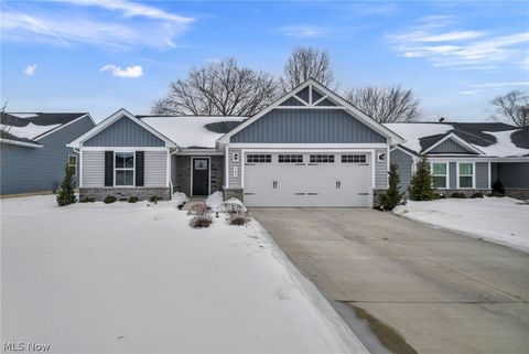 141 W Spring Drive Elyria OH 44035