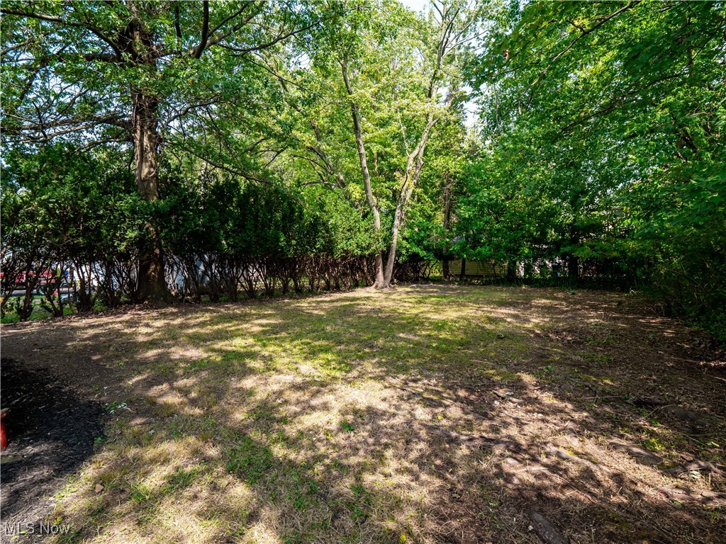 Taylor Park Land Companys Forest - Residential