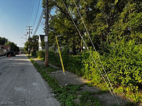 Vacant Land For Sale - 2700 Barber Avenue<br/> Cleveland, OH 44113