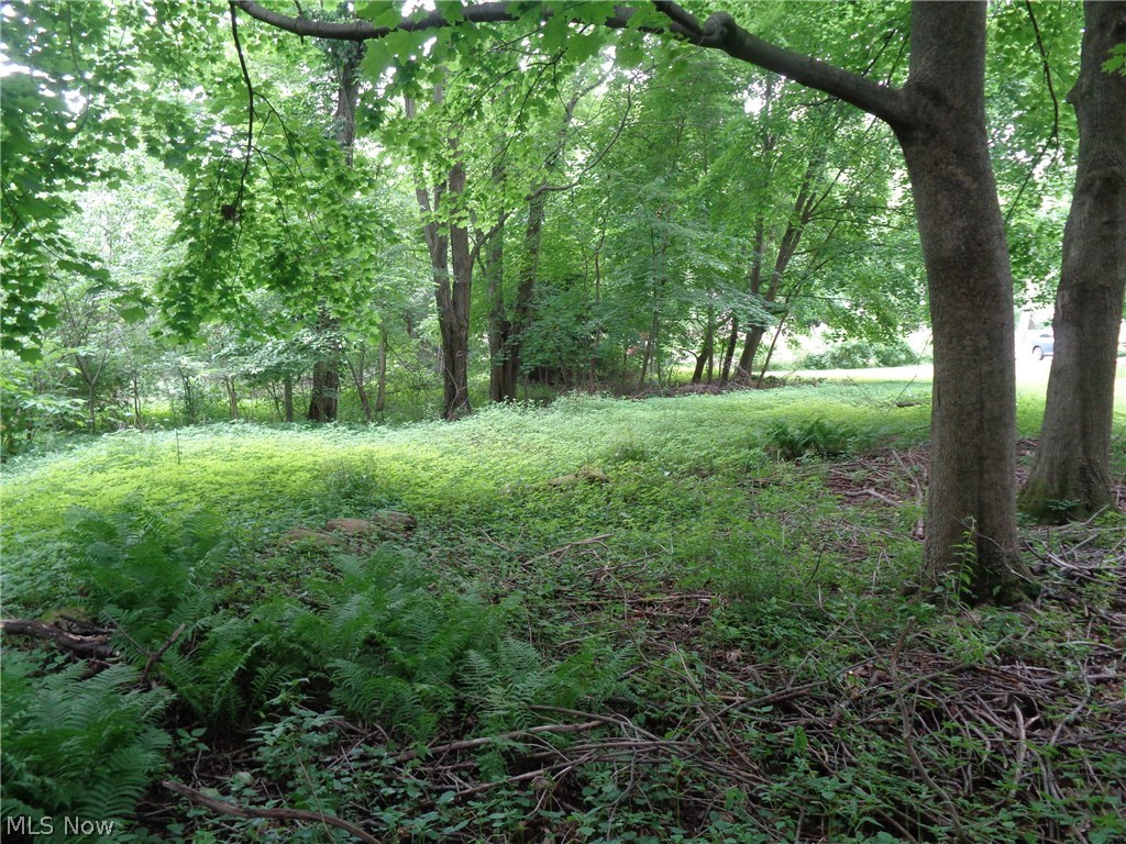 Approximately 1/2 acre wooded lot with a 27 X 31 garage constructed in 1986. The garage features electric, concrete flooring and built-in shelving. Just steps away from lot owner's beach. Heavily treed.