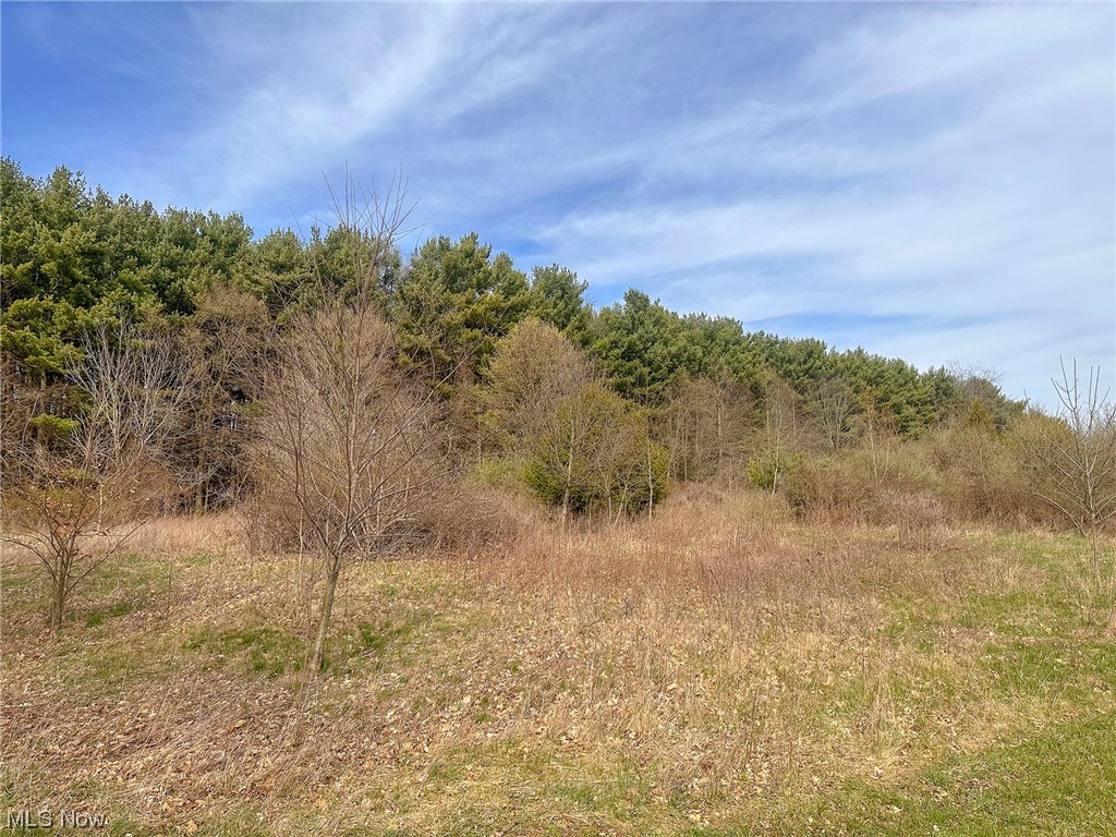 2.7 Acre lots with 210’ of frontage on Galehouse Rd. Excellent building parcel with the back half of the lots a pine forest. Parcel is nearby or adjacent to this address and does not constitute a real house number.