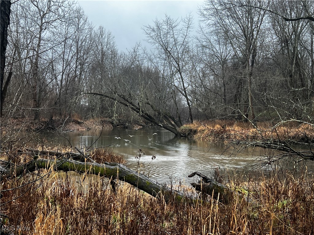 St. Route 5 Road, Newton Falls, Ohio image 2