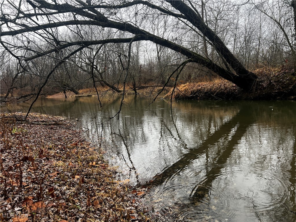 St. Route 5 Road, Newton Falls, Ohio image 30