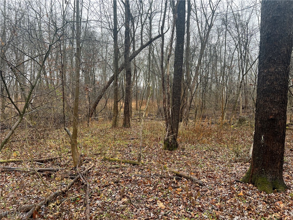 St. Route 5 Road, Newton Falls, Ohio image 17