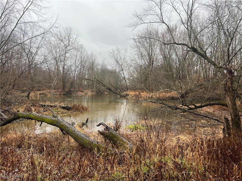 St. Route 5 Road, Newton Falls, Ohio image 29