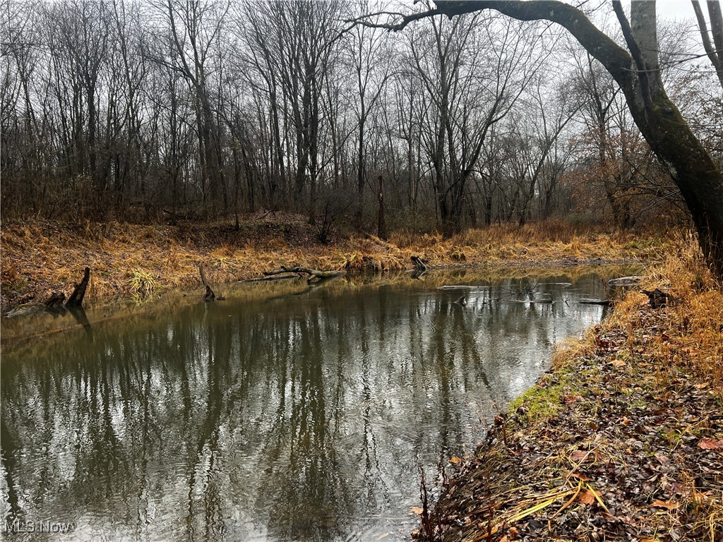 St. Route 5 Road, Newton Falls, Ohio image 36