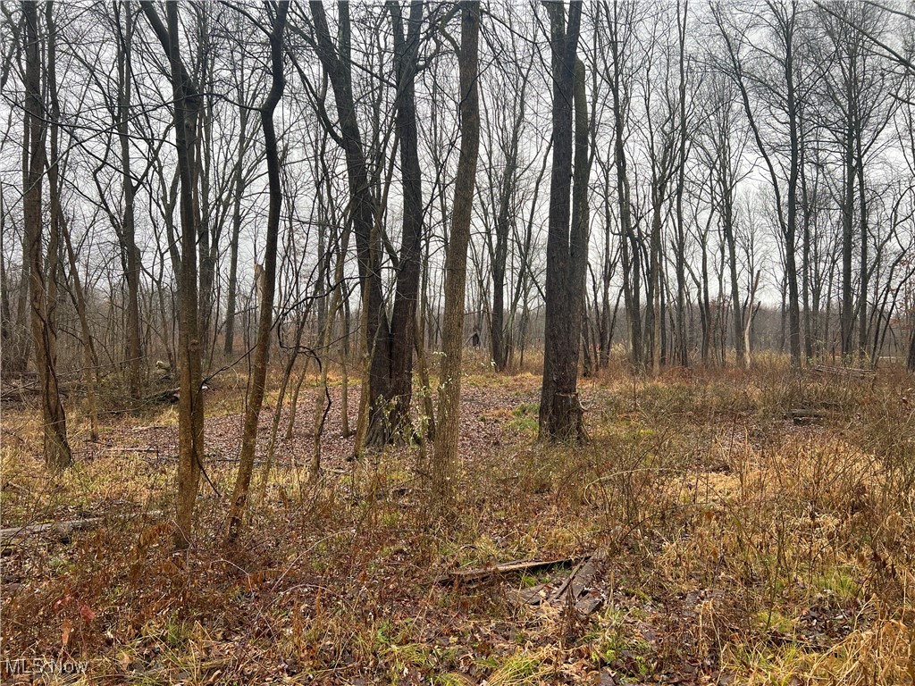 St. Route 5 Road, Newton Falls, Ohio image 18