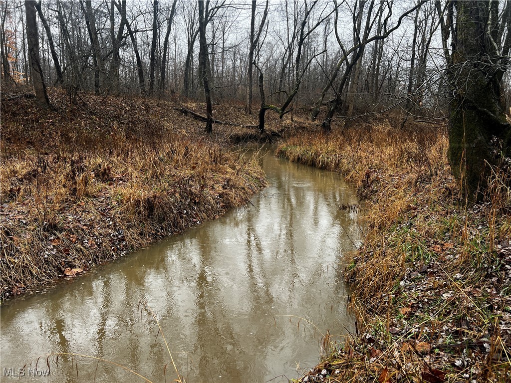 St. Route 5 Road, Newton Falls, Ohio image 1