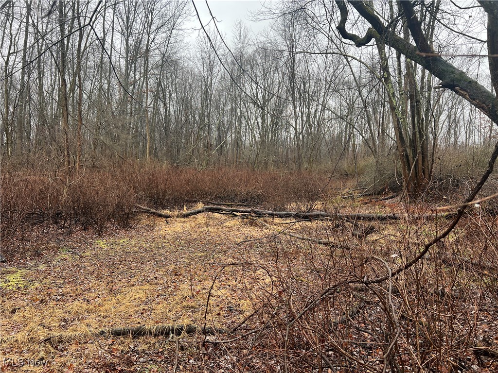 St. Route 5 Road, Newton Falls, Ohio image 9