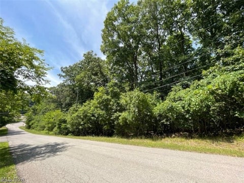 Vacant Land For Sale - 47080 Tomahawk Drive<br/> Negley, OH 44441
