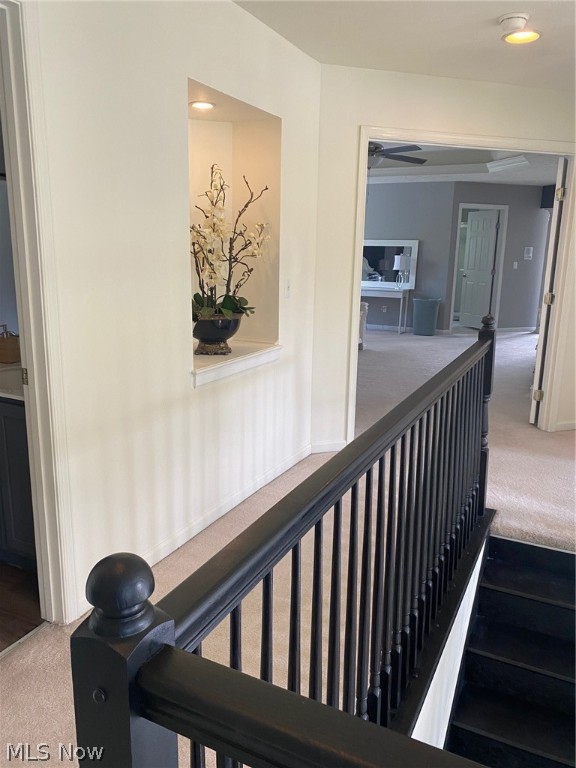 Tinkers Green Ph 03 - Residential