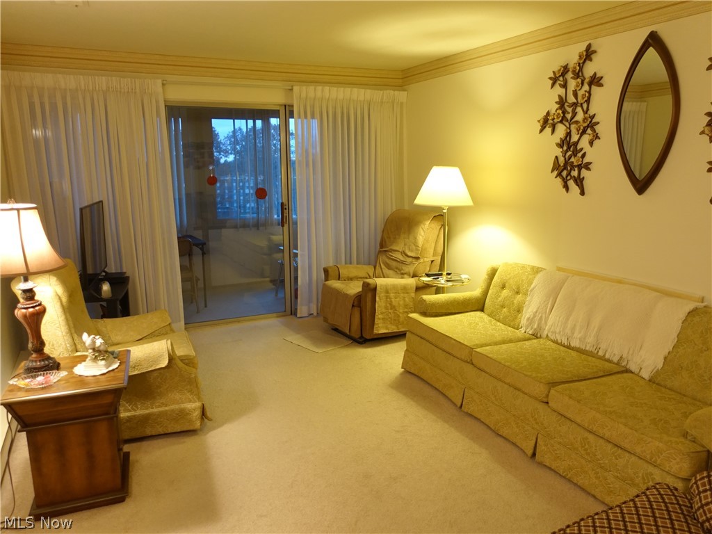 Silver Lake Towers Condo - Residential