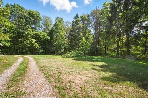 Tiny photo for 42641 sr-517, Columbiana, OH 44408 (MLS # 5202680)