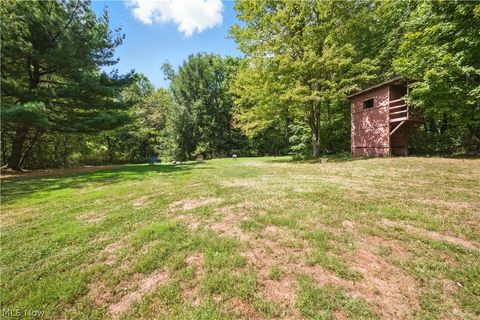 Tiny photo for 42641 sr-517, Columbiana, OH 44408 (MLS # 5202680)