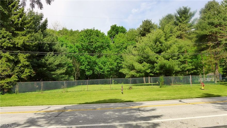 Fantastic Lot to Build Your Own Home on Painesville Townships very western edge!  Protected wooded views in back yard and within 3 minutes drive to Target, Aldi's, Lowe's, Menard's and more!  All Utilities available, Dominion East Ohio Gas, First Energy Electric and Lake County Utilities for Sewer and Aqua Ohio for Water.  Fenced on all four sides and natural privacy barriers offer space from neighbors.  Call Listing Agent for list of Builders and to see model home designs!