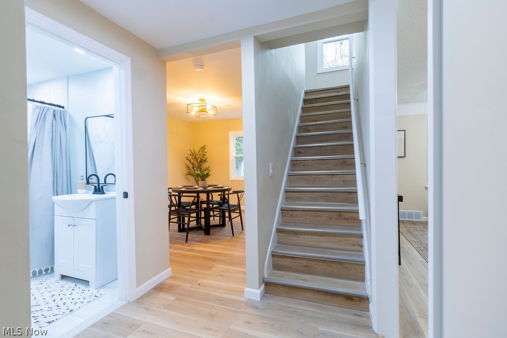 Lawton Park Allotment - Residential