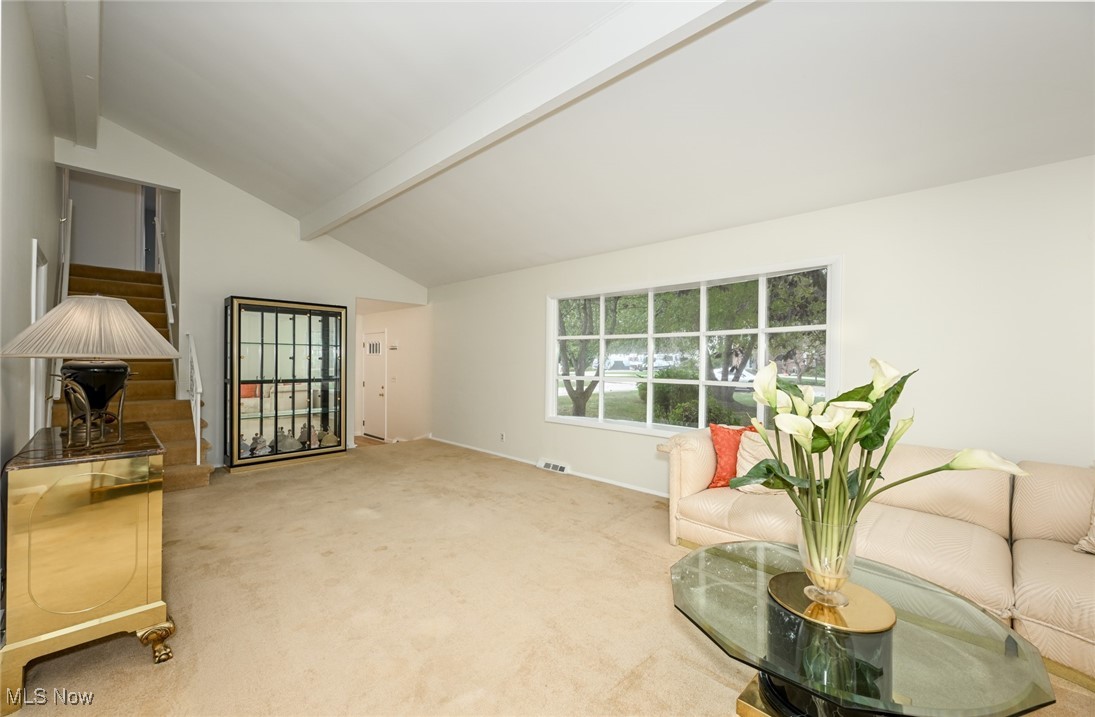 Chippewa Hills Allotment - Residential