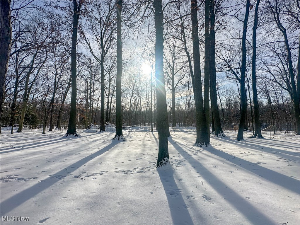 Hunters Woods - Residential