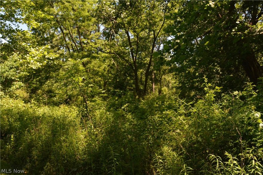 North Chesterland Privacy! This Beautiful 1.65 Acre Wooded Lot Is Ready For Your Dream Home. This Piece of Paradise Includes a Pond View, Abuts the East Branch of the Chagrin River and a 23 Acre Geauga County Nature Preserve. Award Winning West Geauga Schools.