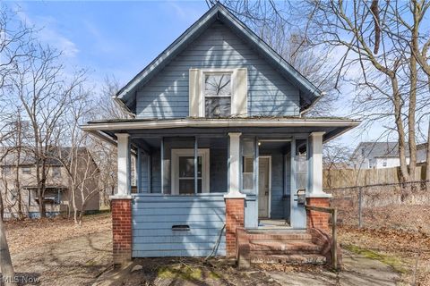 Homes For Sale - 185 Stanton Avenue<br/> Akron, OH 44301