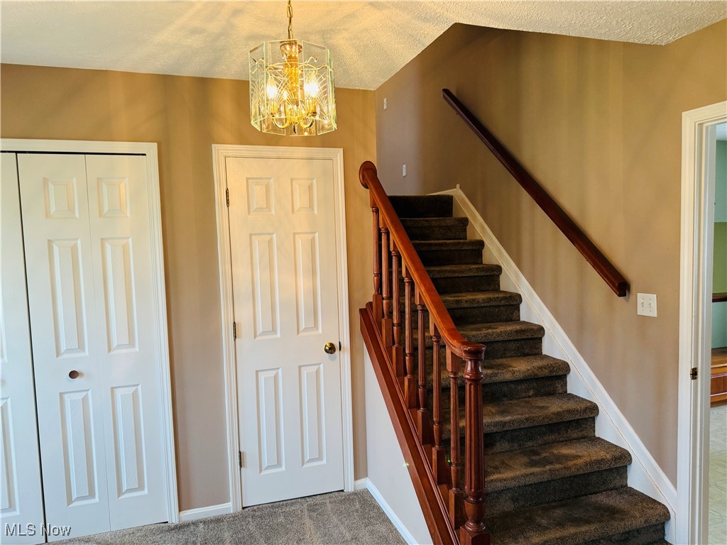 Robeys - Residential