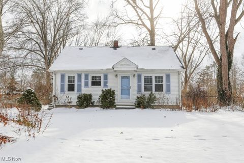 Photo of 4106 Lynn Road, Rootstown, OH 44266 (MLS # 5179820)