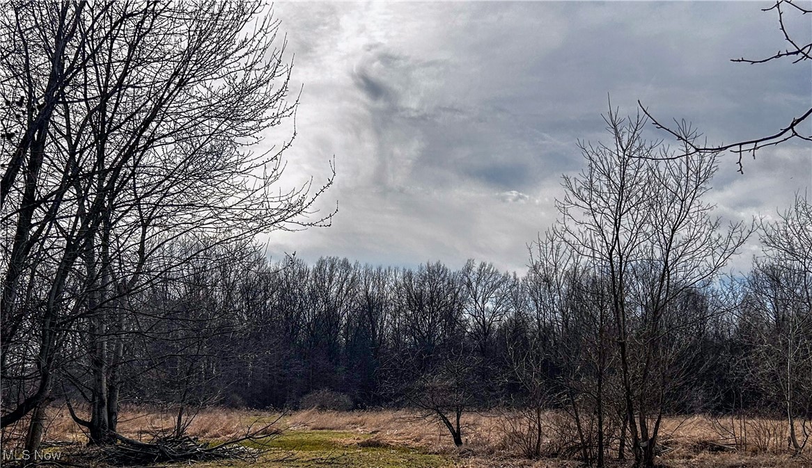 6335 Hoagland Blackstub Road, Cortland, Ohio image 25
