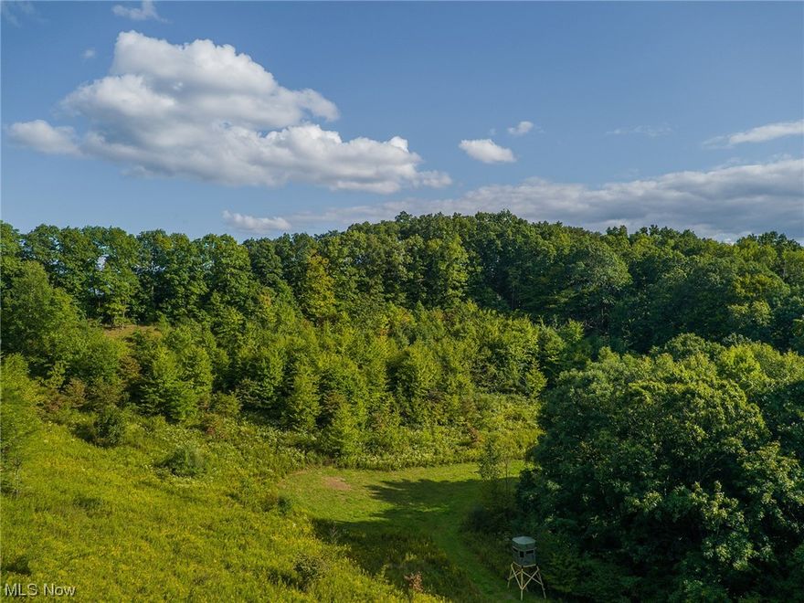 Property to be sold at Online Auction: Begins ending Thursday, October 19th at 5:00 PM. Escape to the great outdoors with these two parcels of prime hunting land in Port Washington, literally 1-minute off the Newcomerstown exit. With a combined 80 acres, both parcels offer stunning scenery, prime hunting, and ATV trails throughout, providing ample opportunities for outdoor adventure. The natural bowl shape of the land creates ideal settings for secluded hunting spots. Don't miss your chance to own your piece of hunting paradise in a prime location just in time to hunt the rut. With reciept of 10% deposit, the buyer will be able to hunt immediately following the auction. The 50% of mineral rights offers added value in a desirable area. Parcel is nearby or adjacent to this address and does not constitute a real house number.