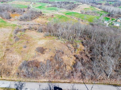Vacant Land For Sale - Township Road 135<br/> Jefferson County, Dillonvale, OH 43917