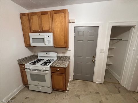 Tiny photo for 1340 W 65th Street #4, Cleveland, OH 44102 (MLS # 5190149)
